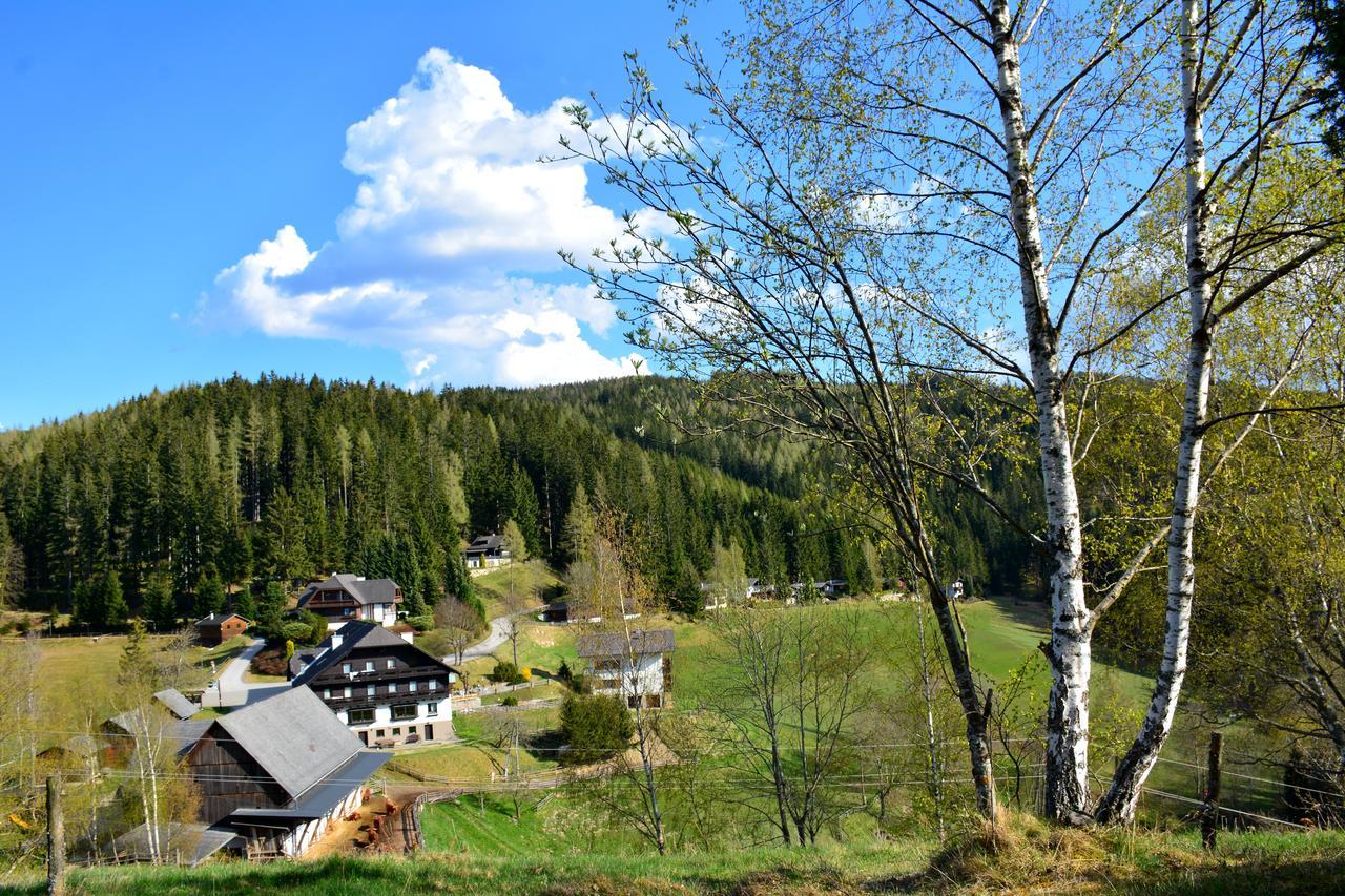 Fruehstueckspension Ochnerbauer Kindberg Extérieur photo