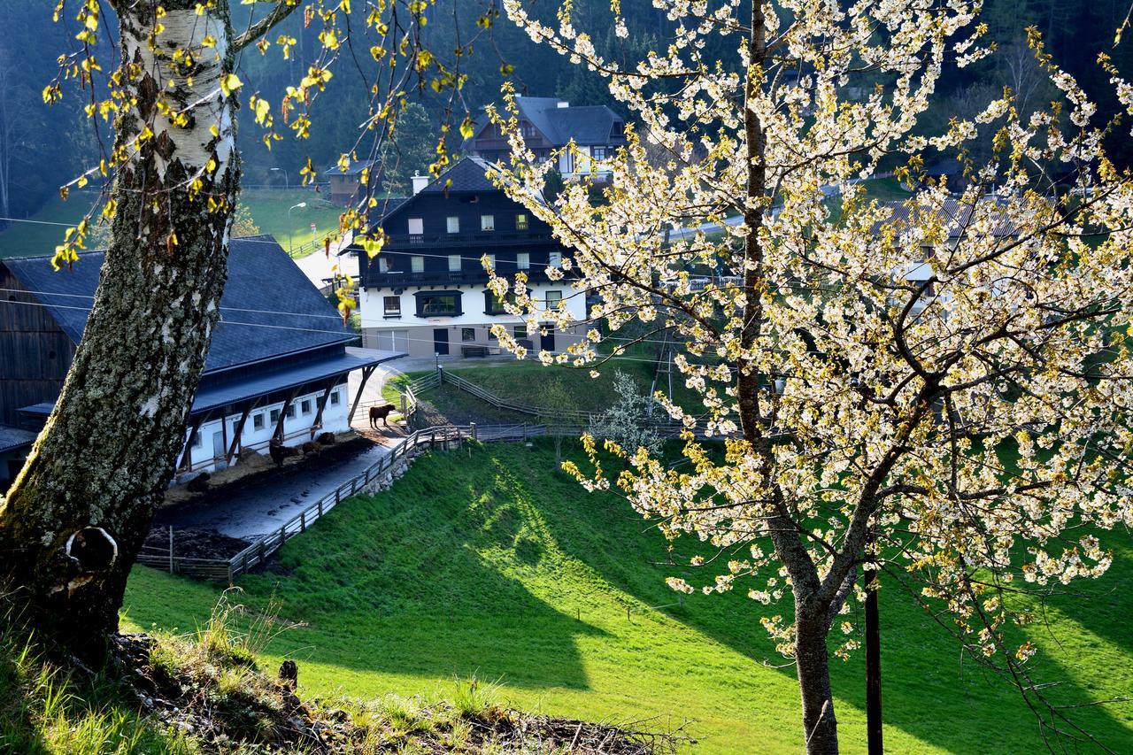Fruehstueckspension Ochnerbauer Kindberg Extérieur photo